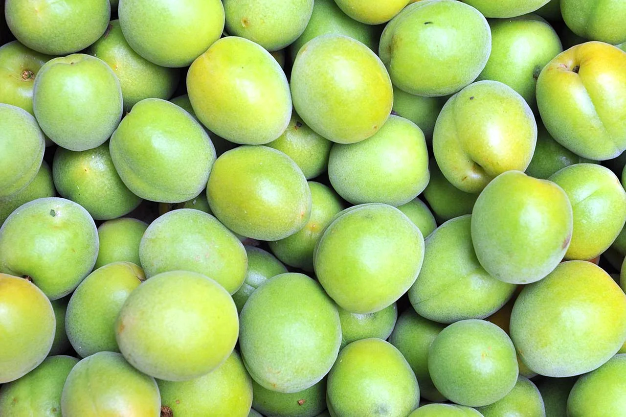 Вьетнамские зеленые абрикосы