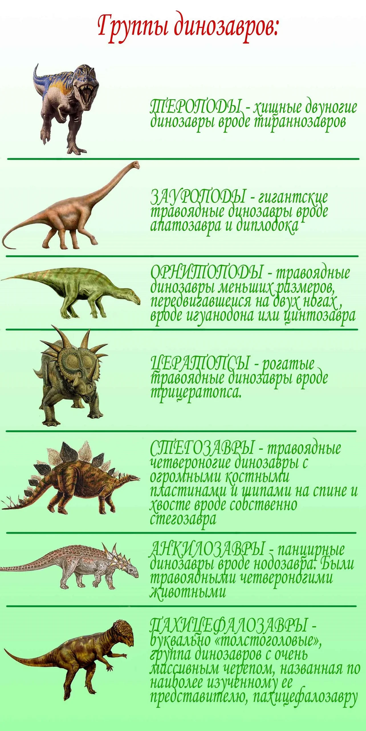 Виды динозавров
