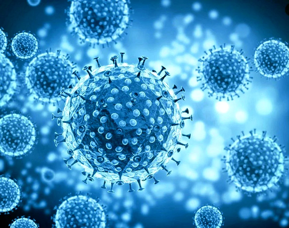 Вирус вирус коронавирус