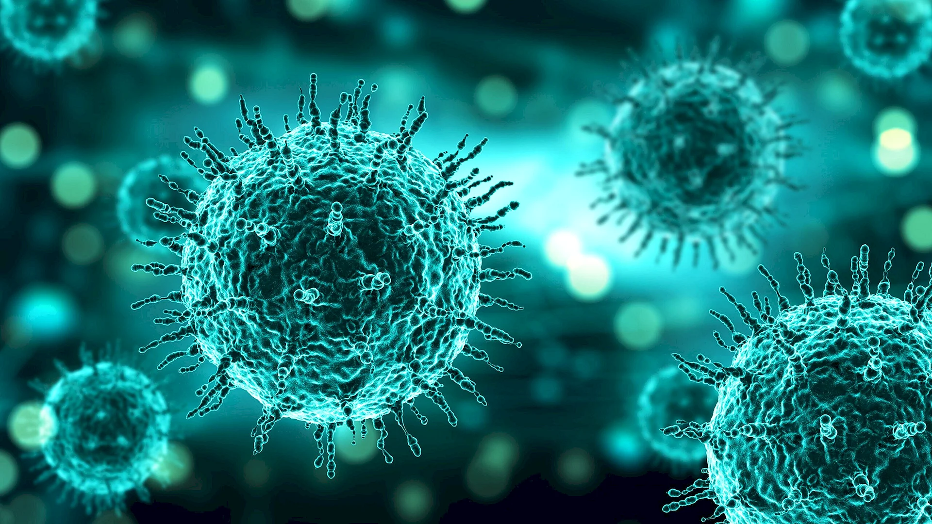 Вирус вирус коронавирус