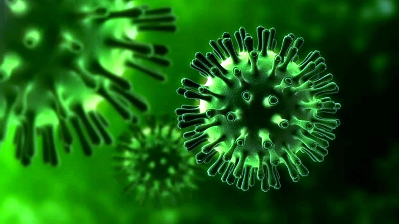 Вирусы бактерии коронавирус