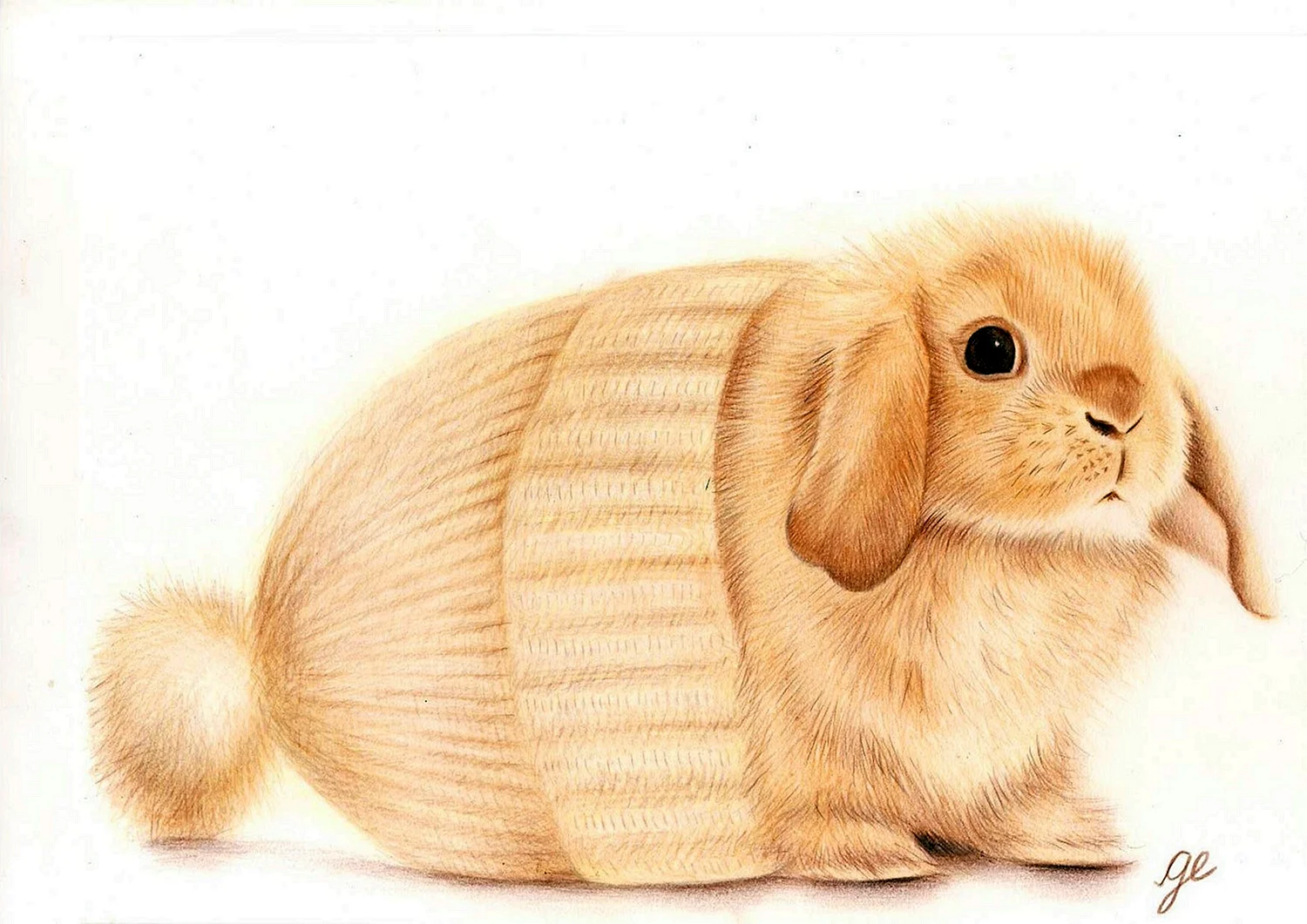 Вислоухий кролик арт