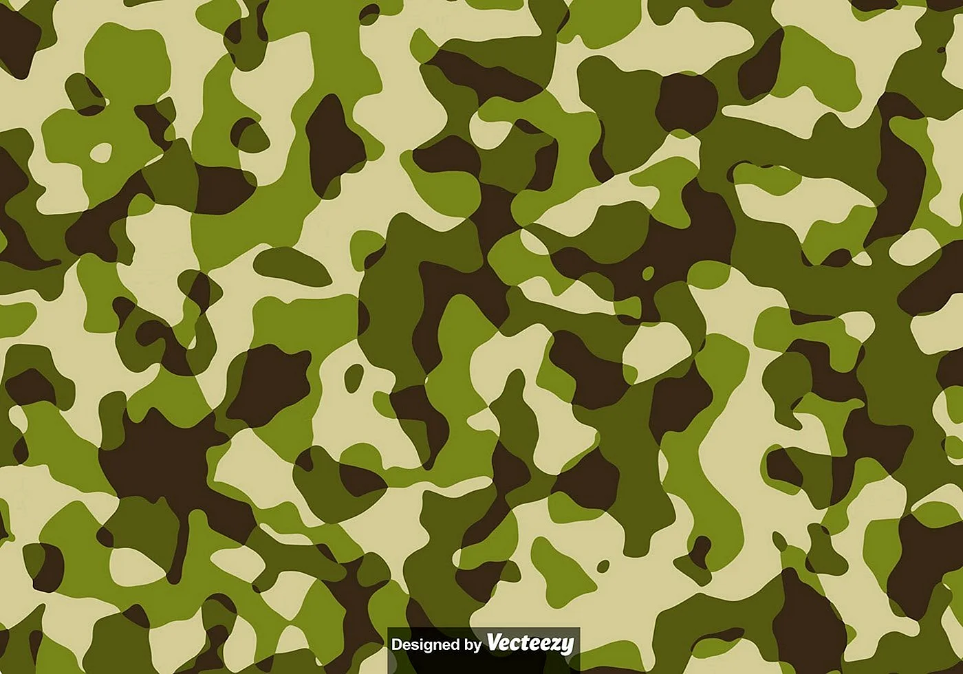 Военная окраска