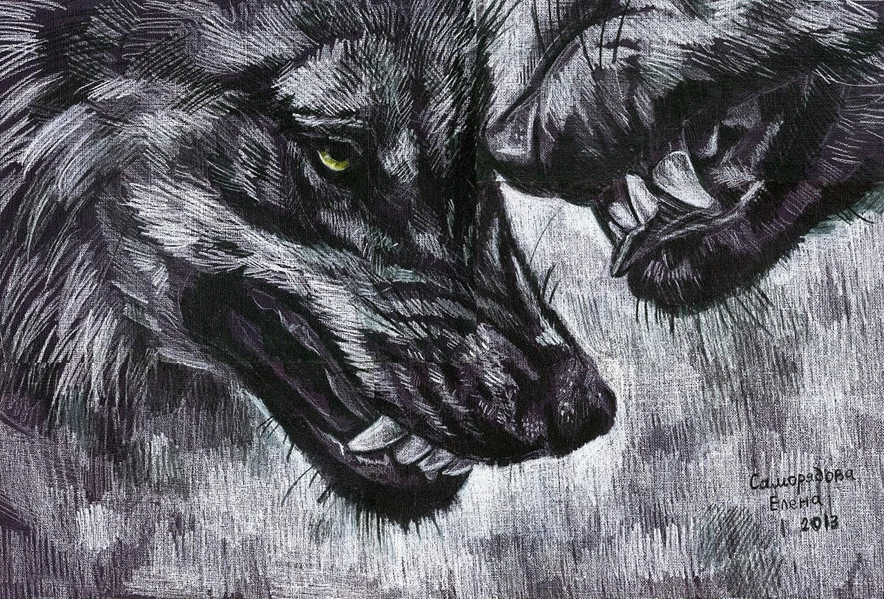 Волк арт черно белый
