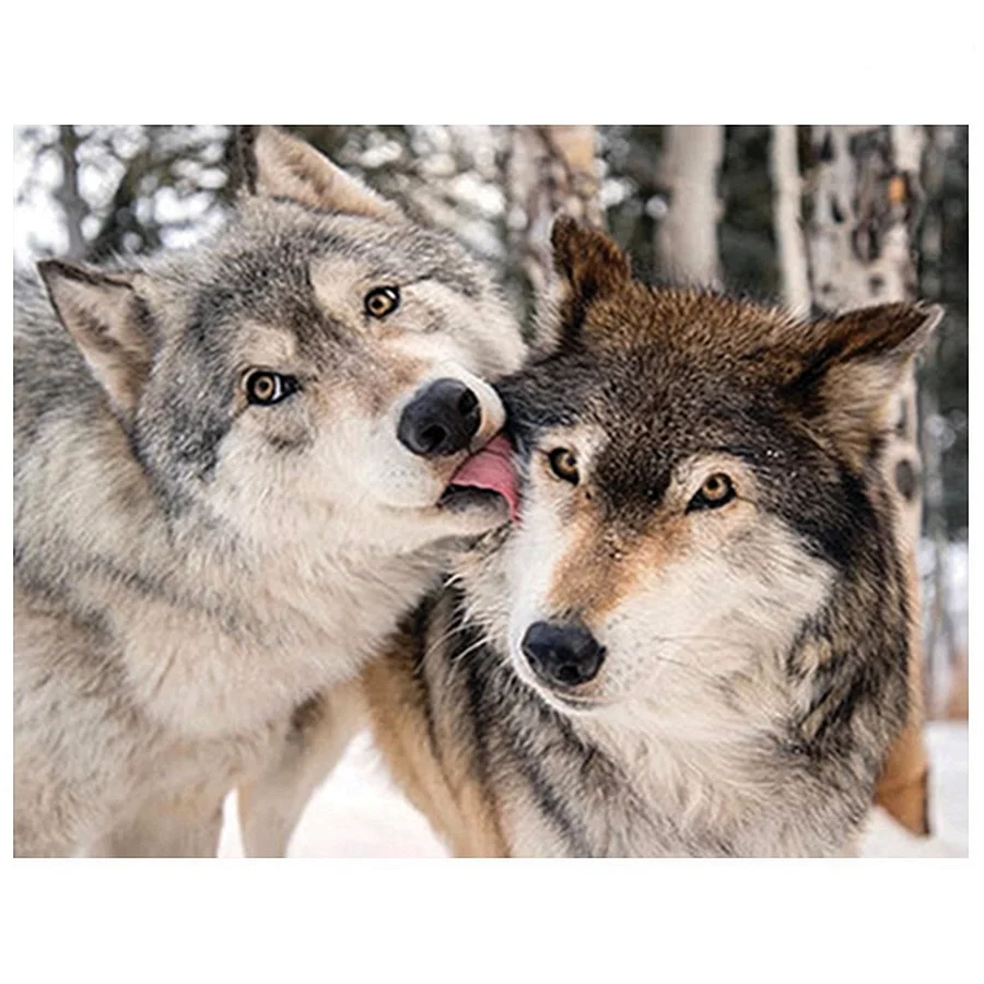 Волк и Волчиха