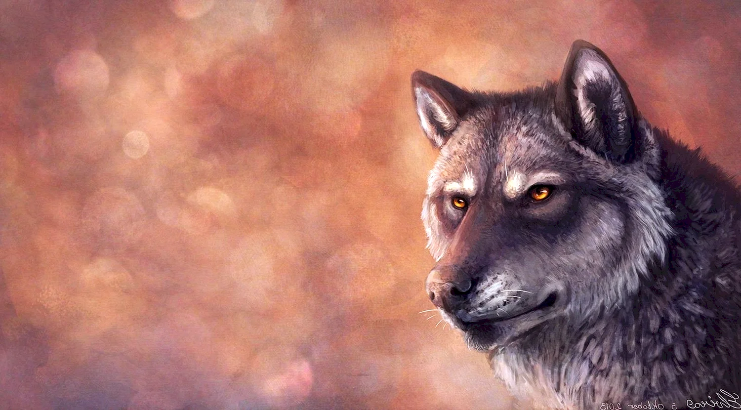 Волк на сером фоне