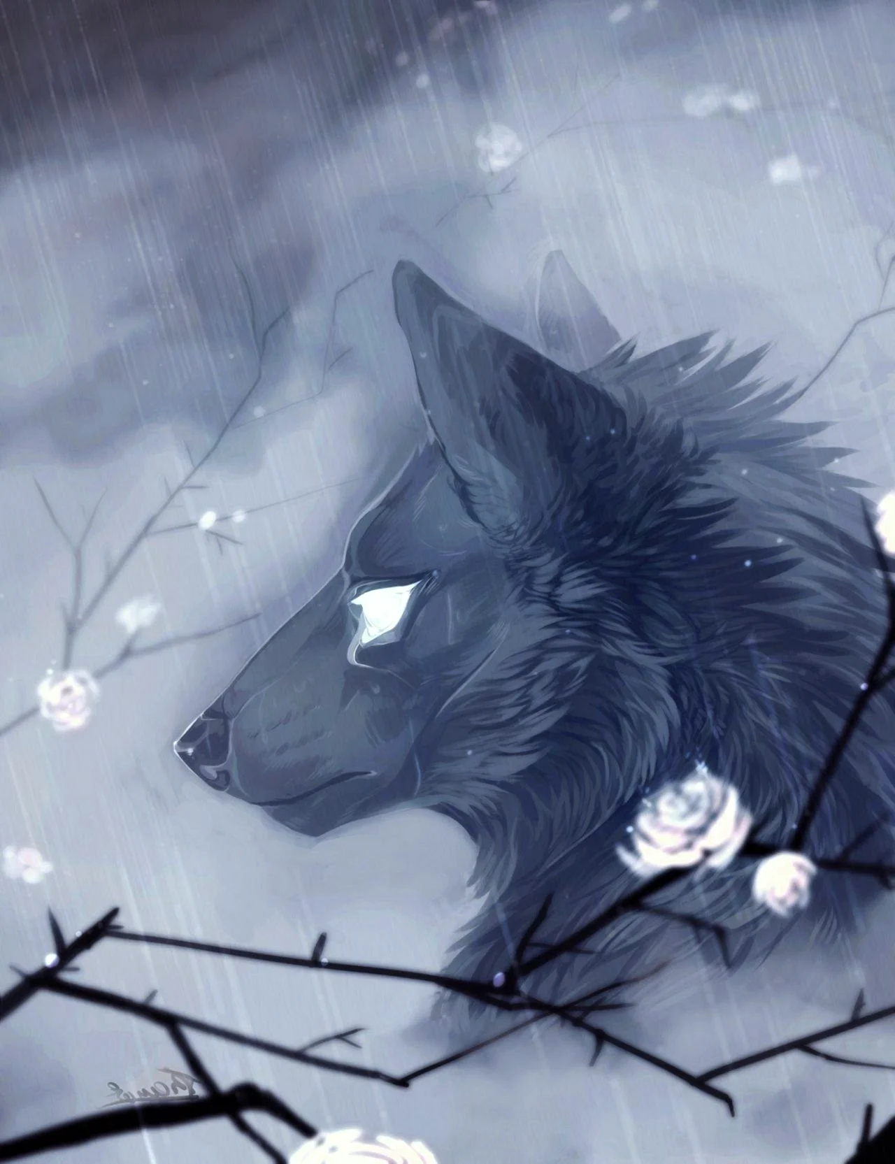 Волк под дождем