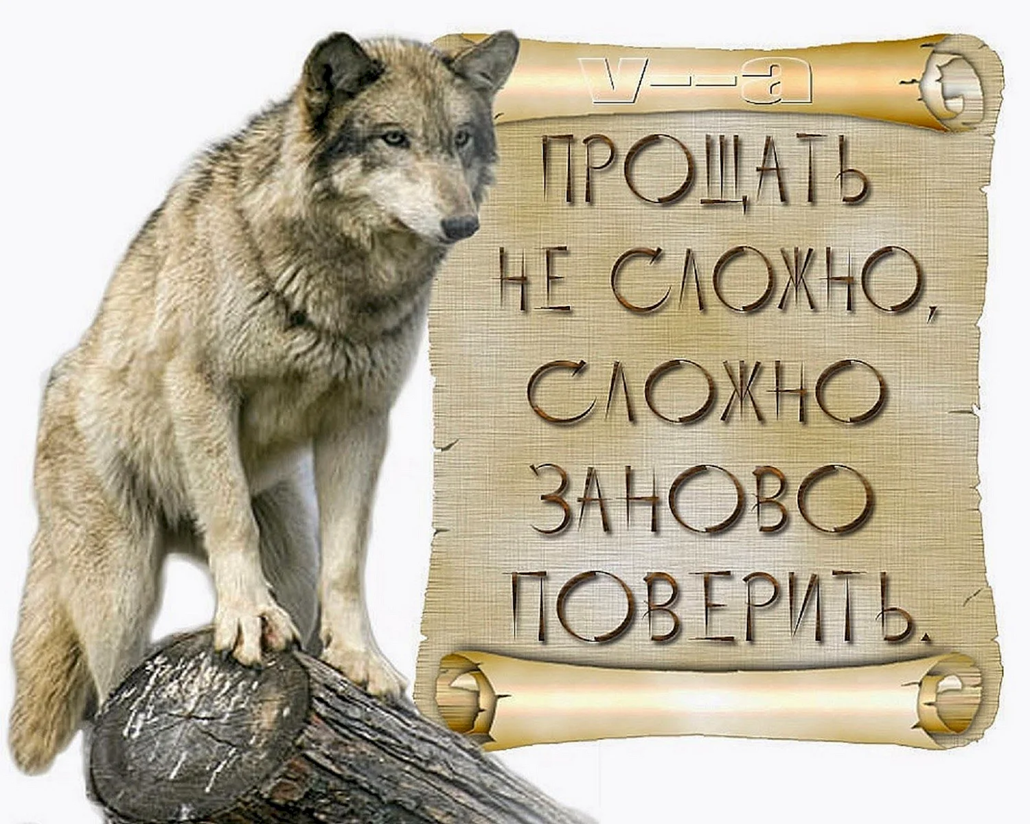 Волк с надписью