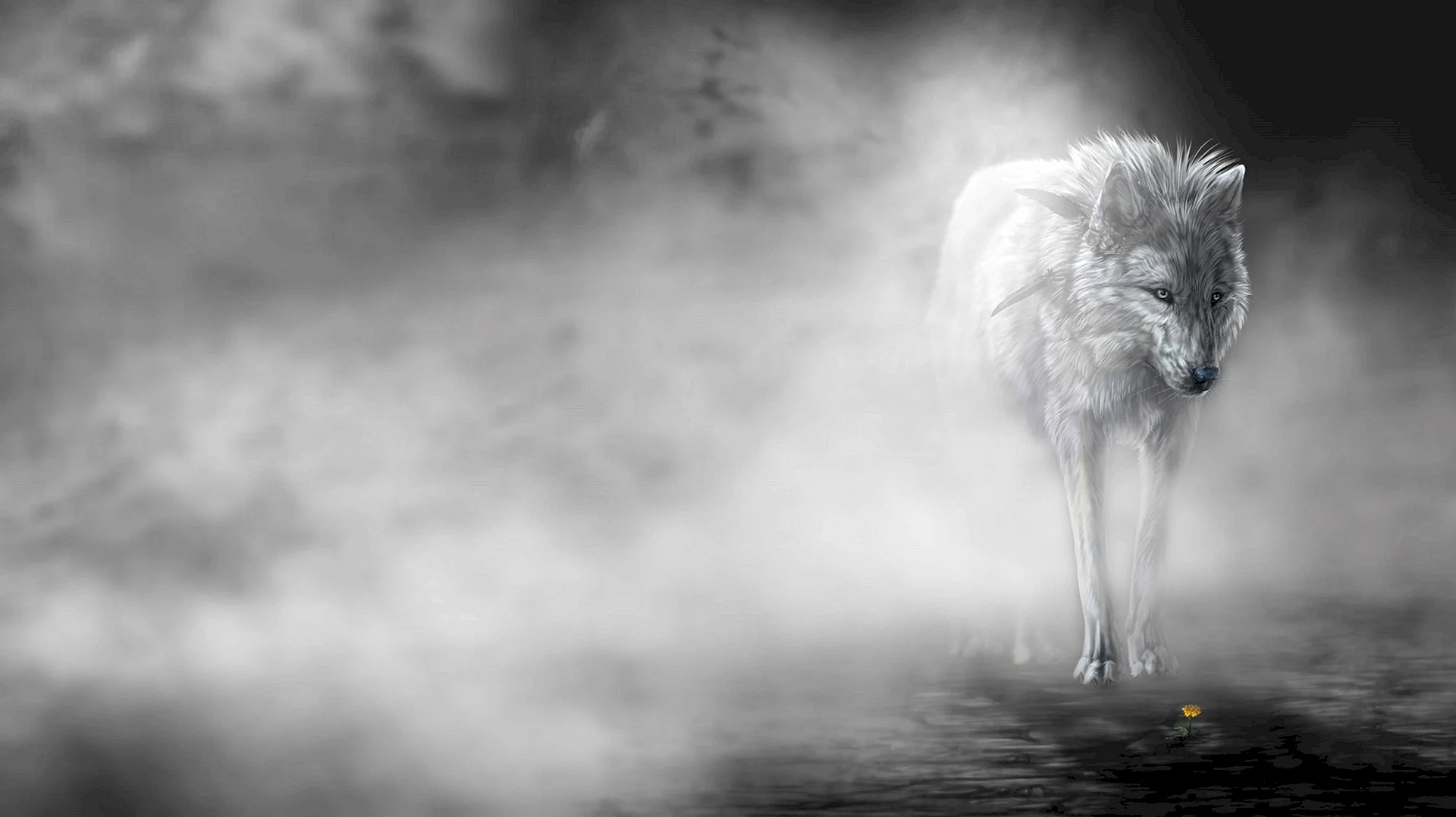 Волк в тумане