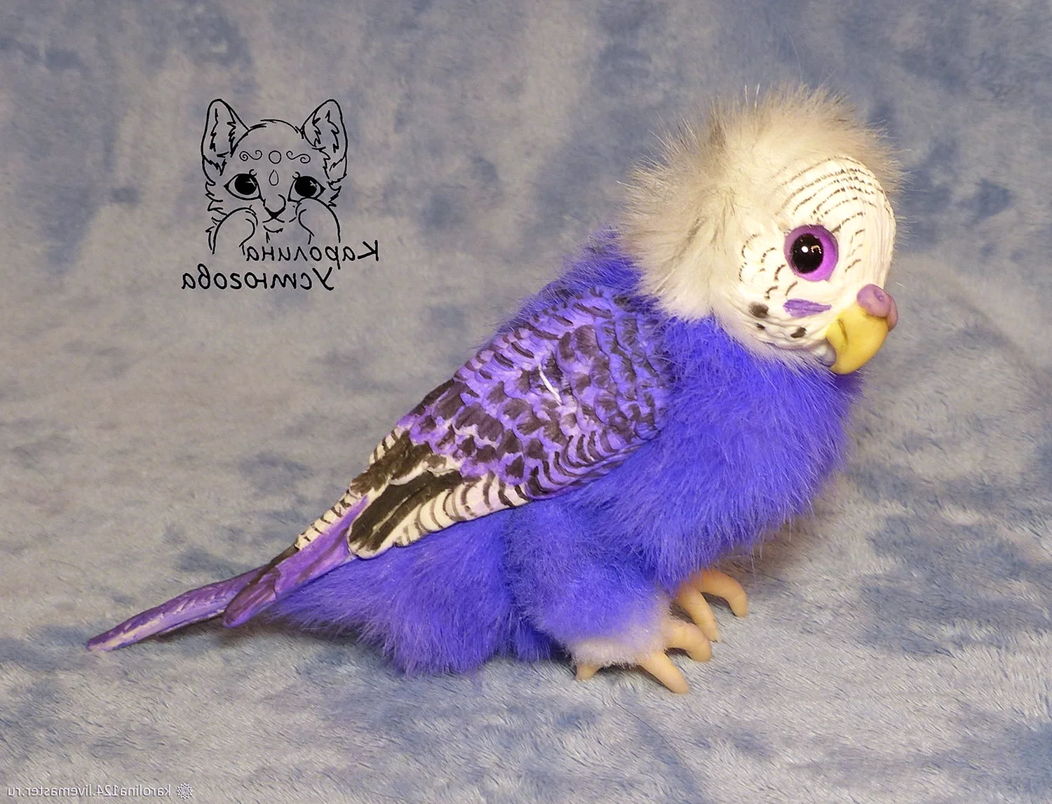 Волнистый попугайчик фиолетовый