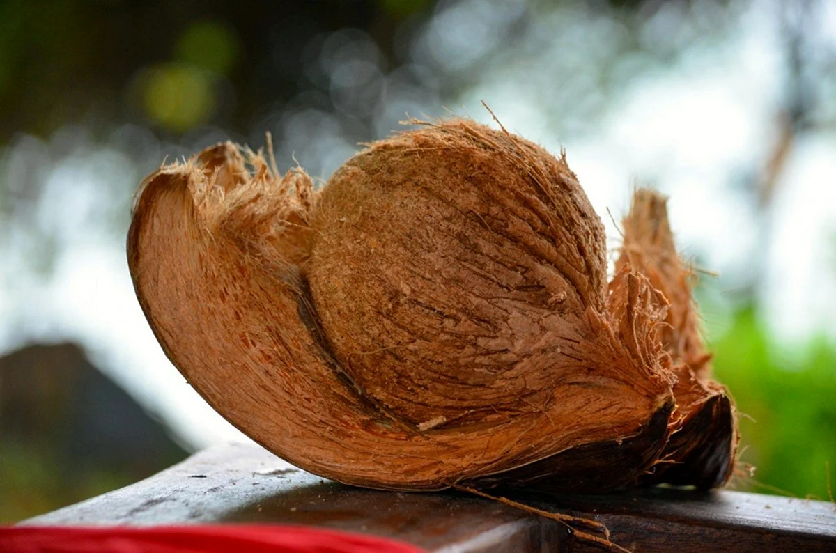 Волокно кокосового ореха