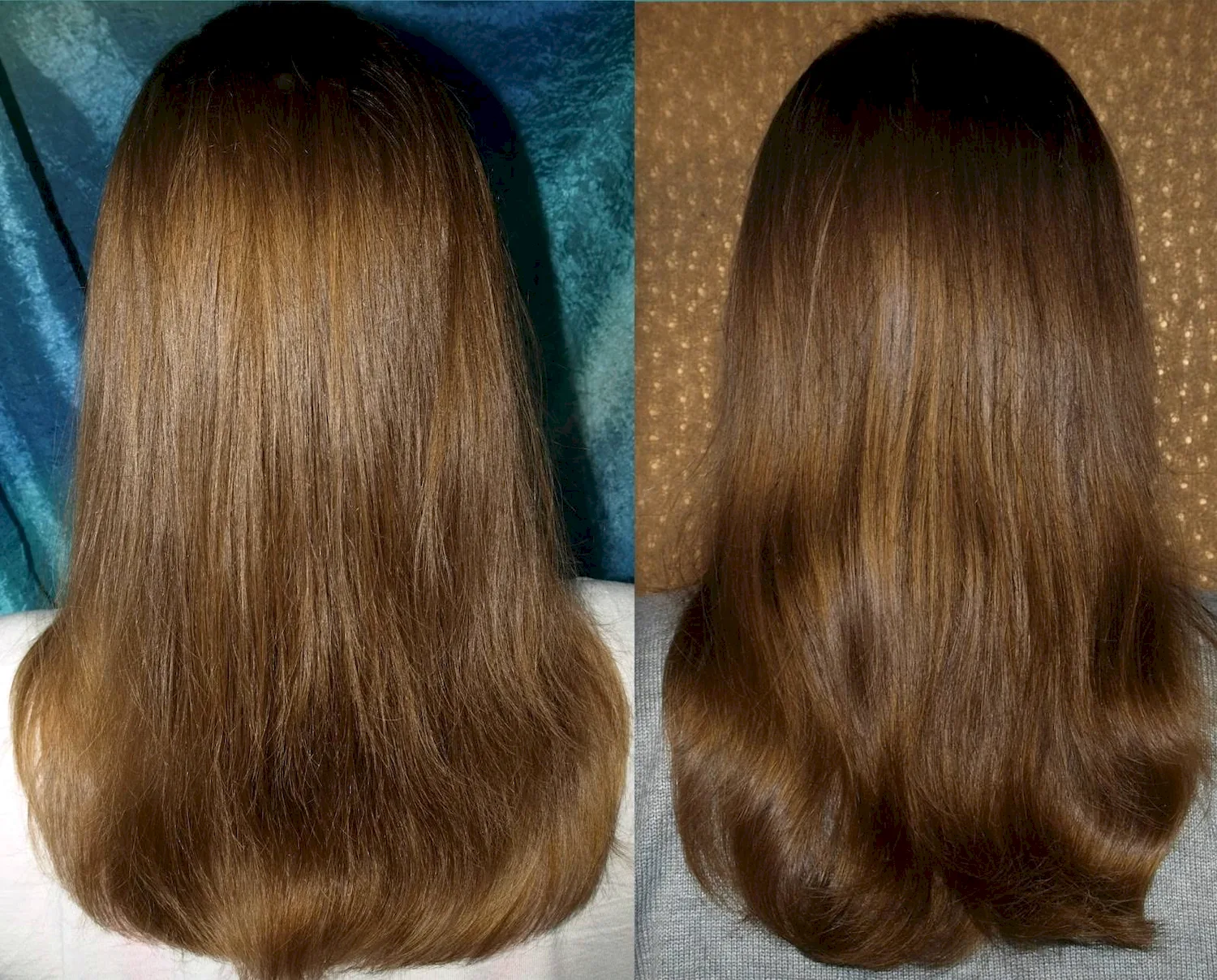 Волосы после осветления ромашкой