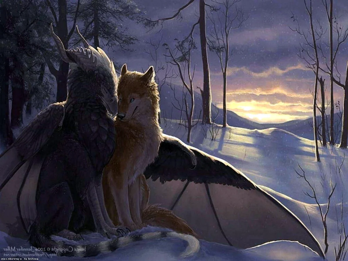 Волшебные лисы и волки