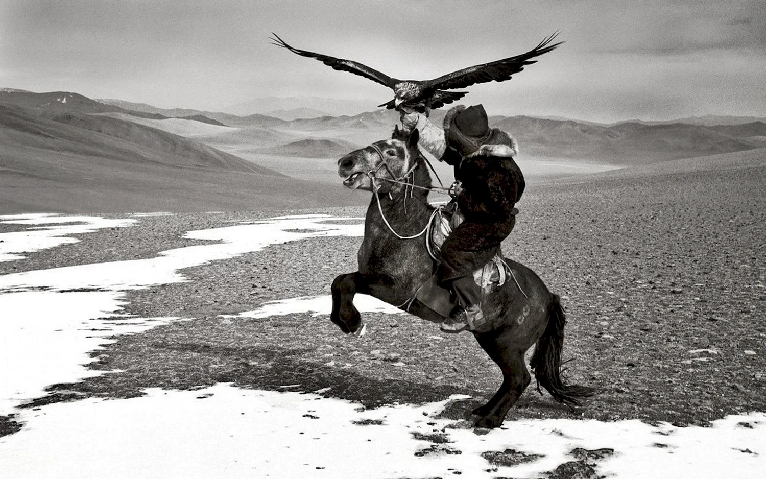 Всадник Монгол