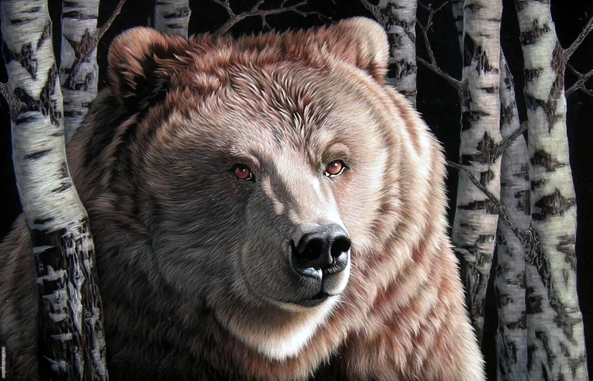 Вышивка медведь