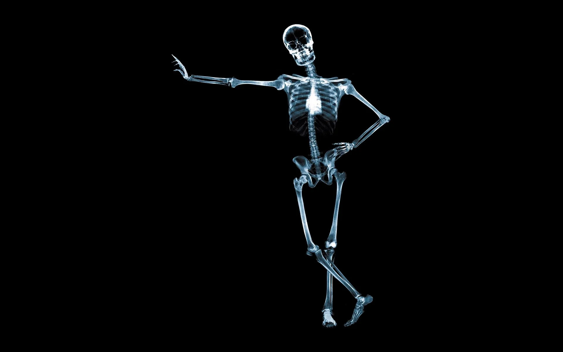 XRAY скелет