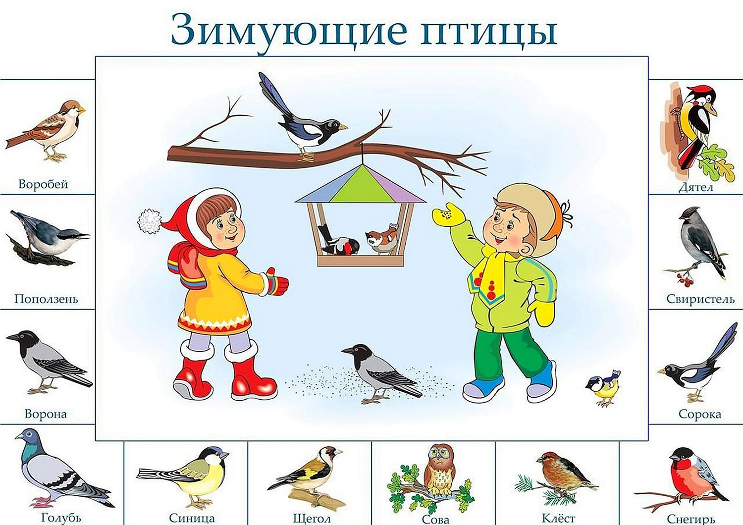 Задания для детей по теме зимующие птицы