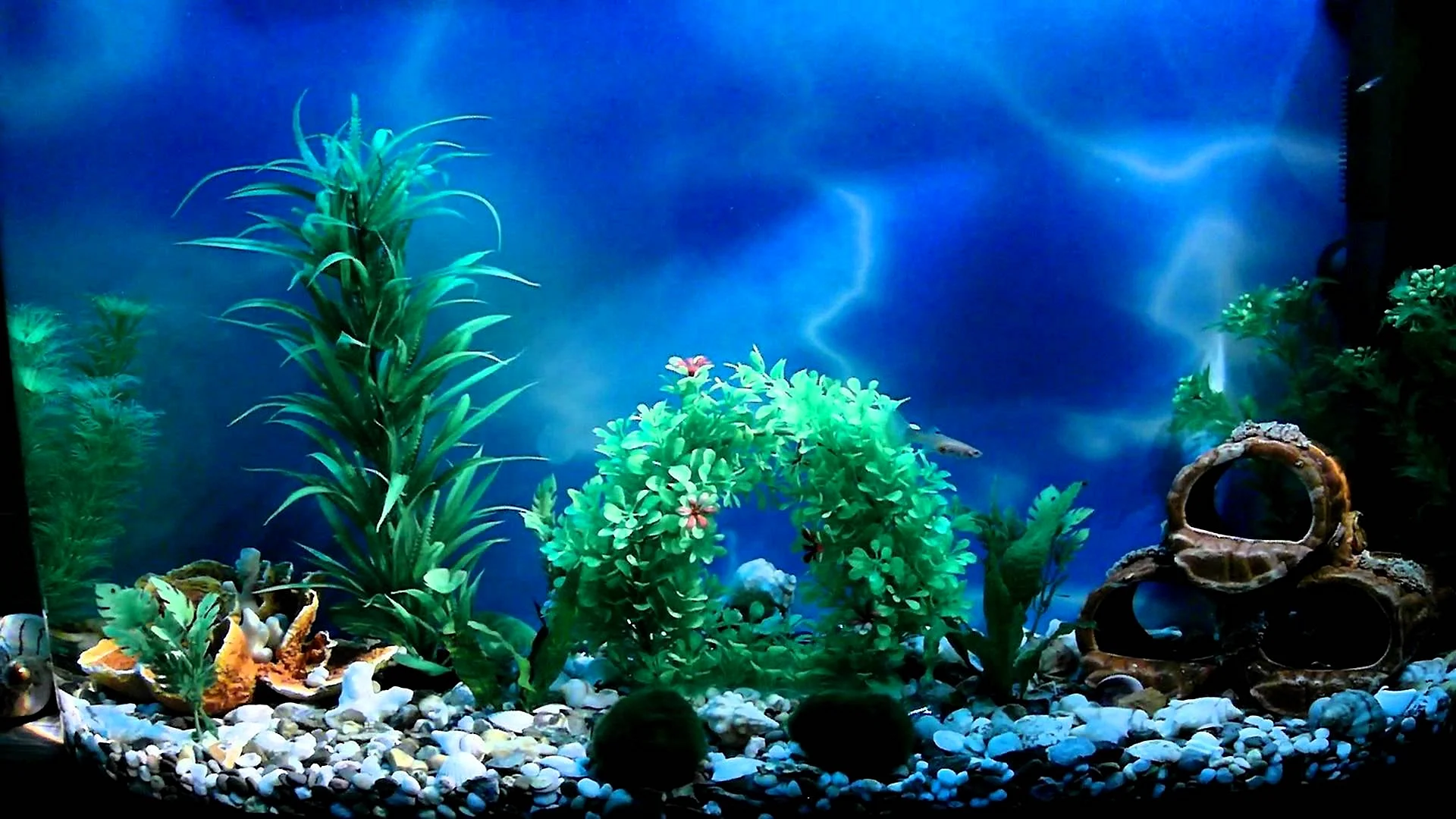 Задний фон для аквариума