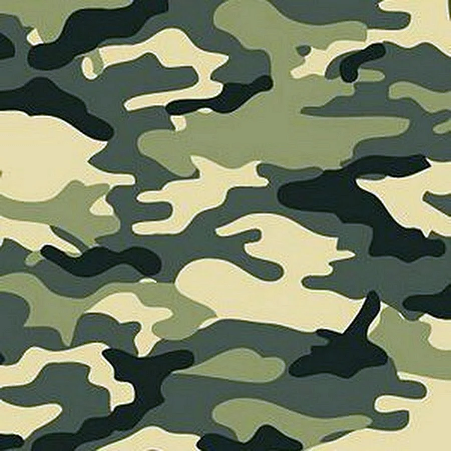 Защитный цвет военной