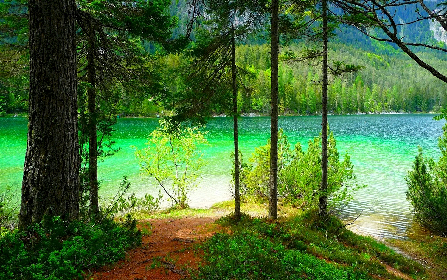 Зелёное озеро Луга