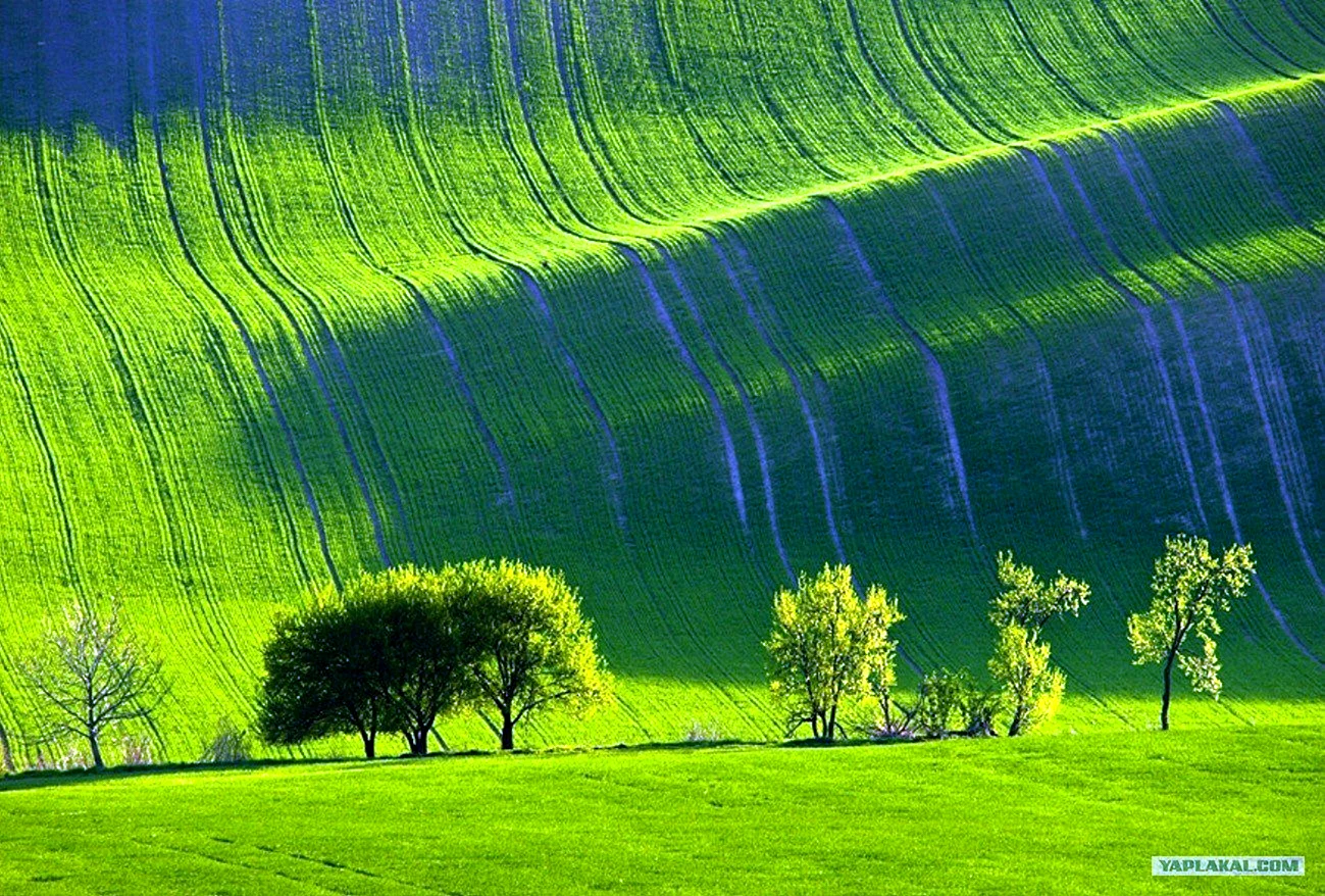 Зелёные поля Моравии Чехия