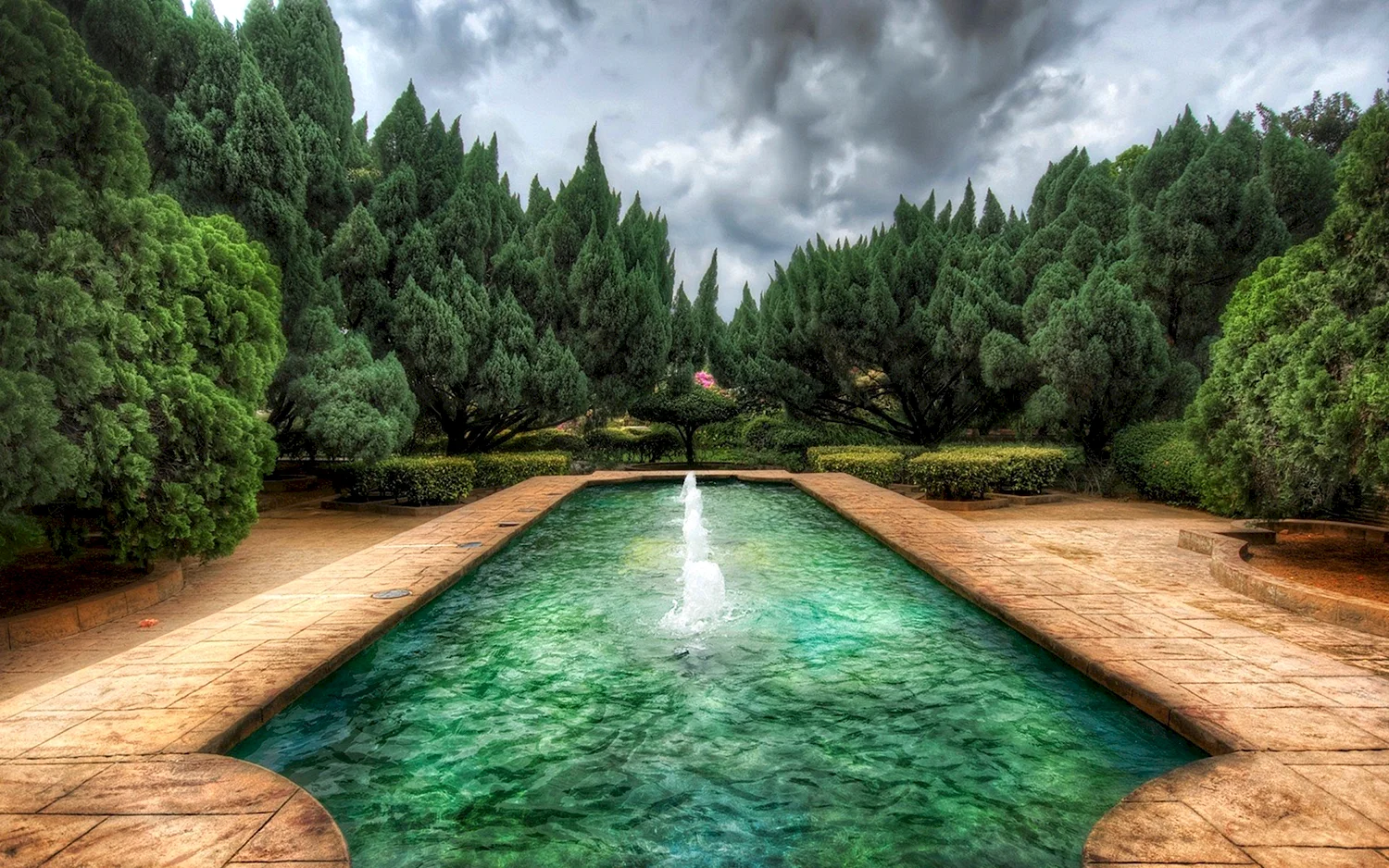 Зеленый бассейн