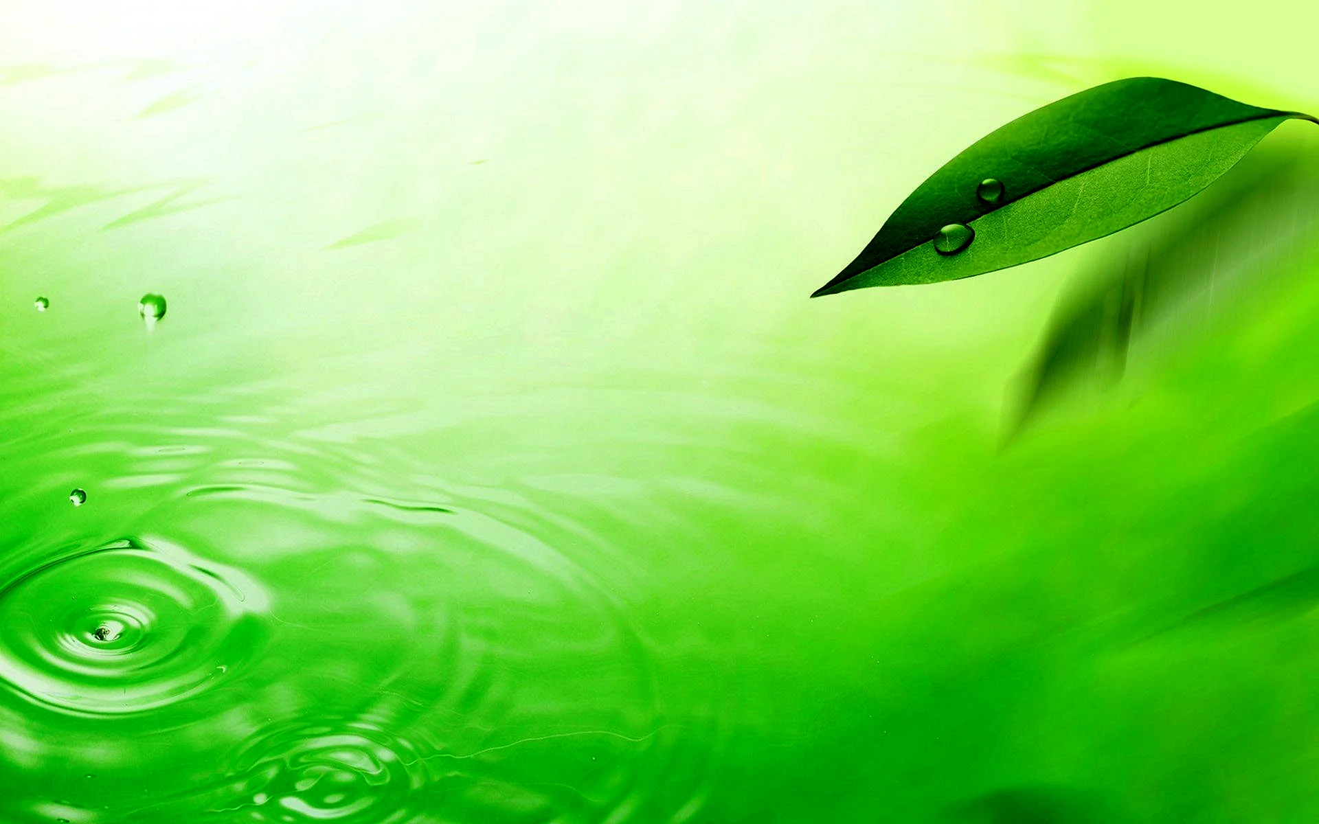 Зеленый фон с каплями воды