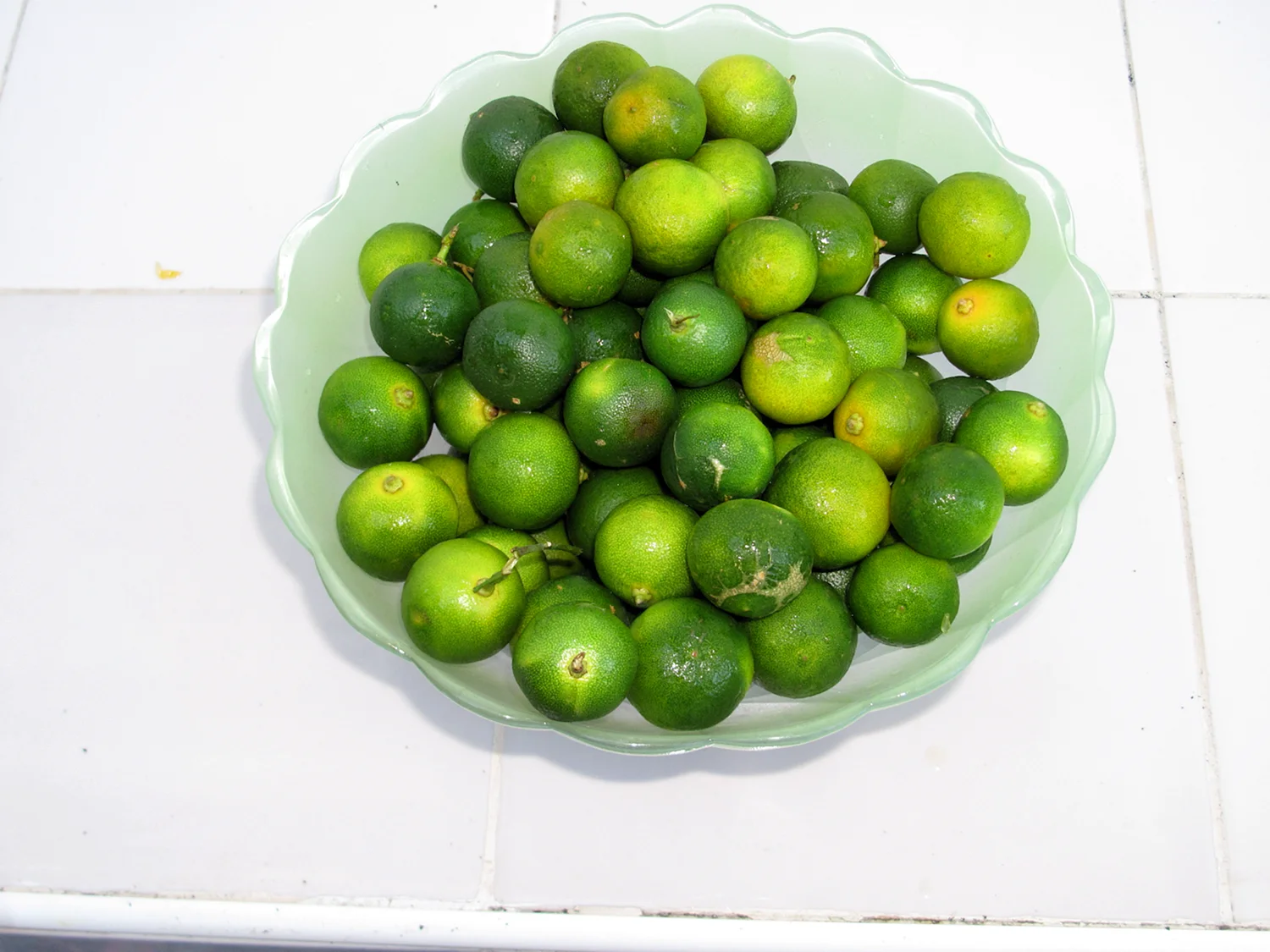 Зелёный фрукт круглый