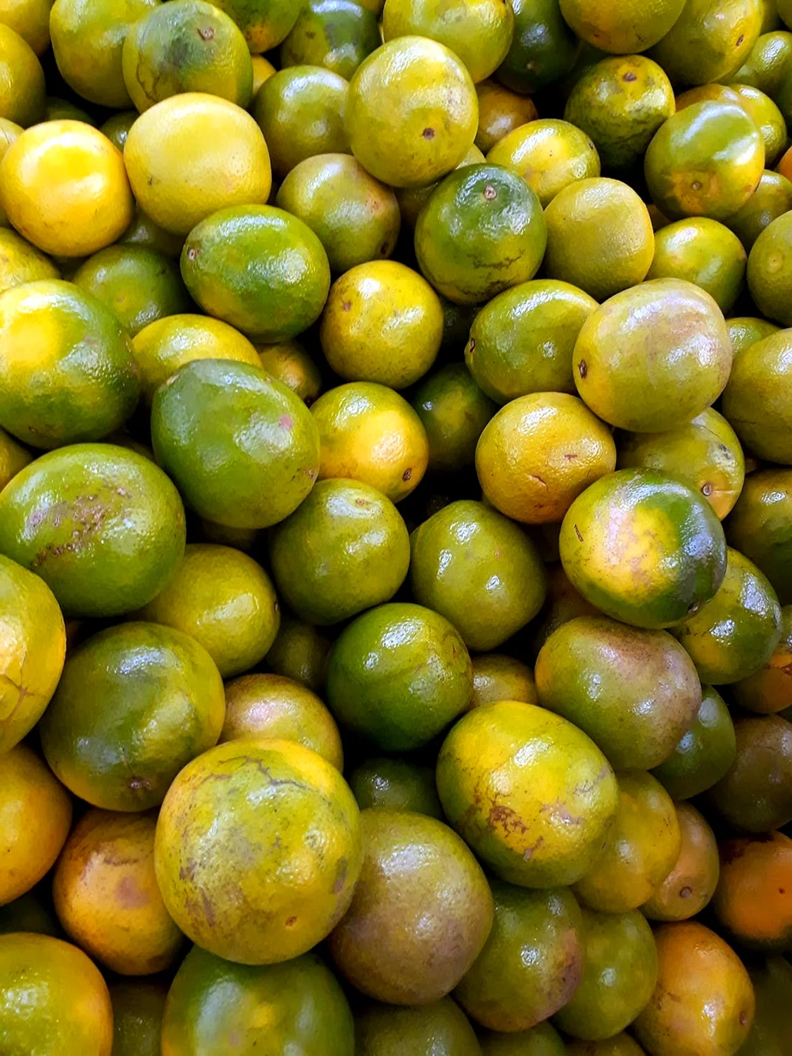 Зеленый фрукт цитрус