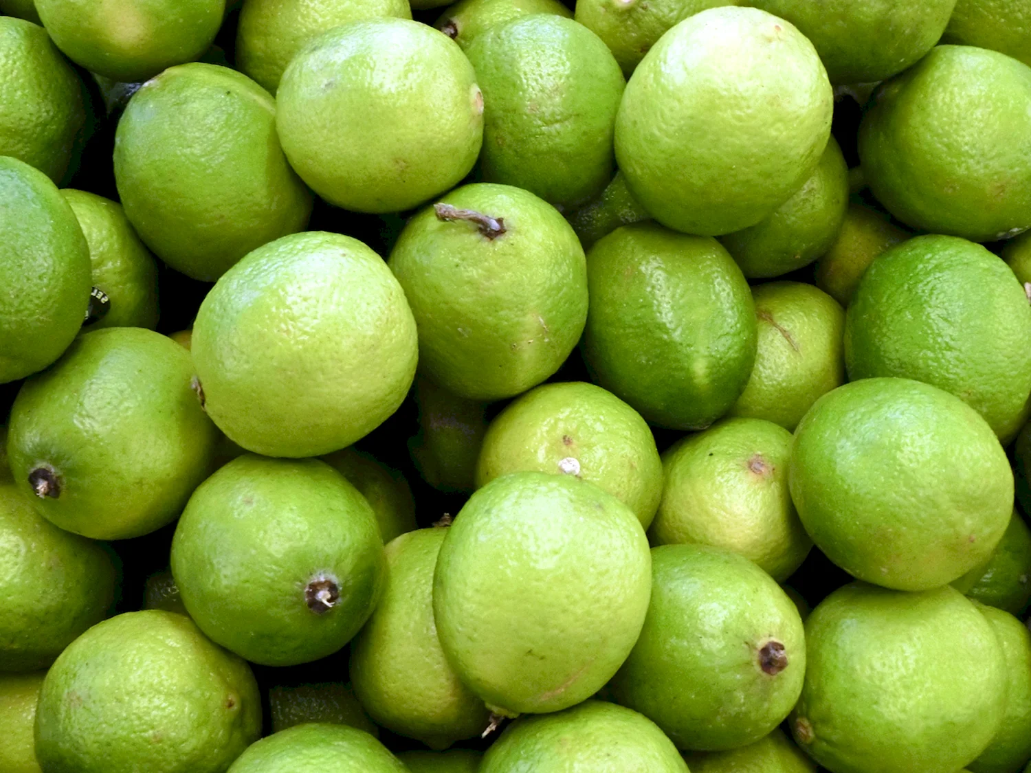 Зеленый кислый цитрус