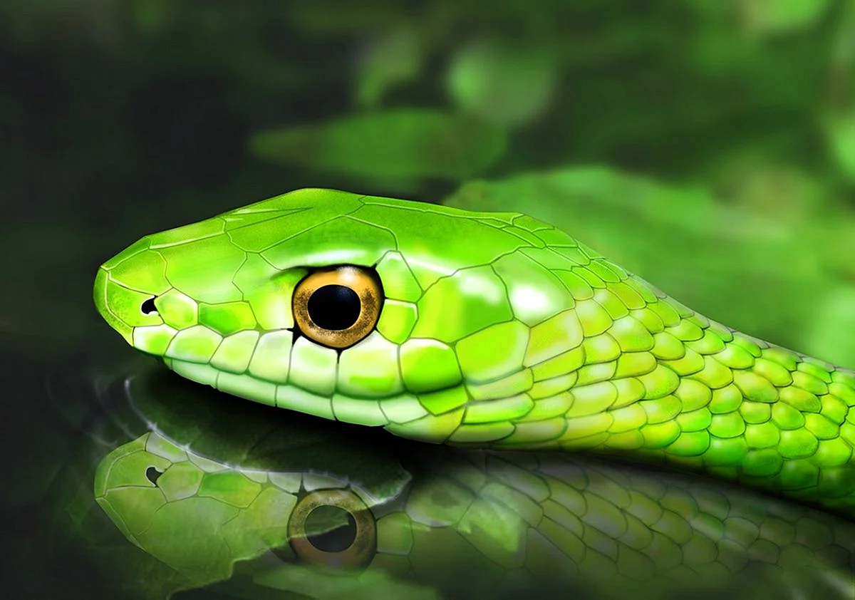 Зеленый полоз змея