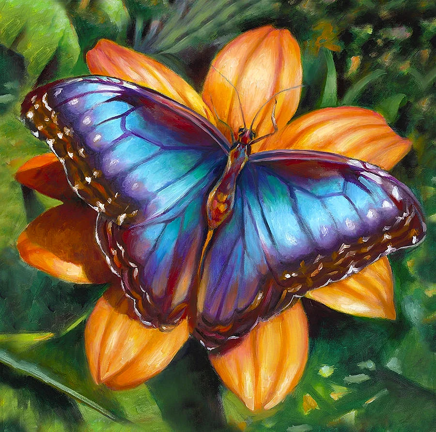Живописные бабочки