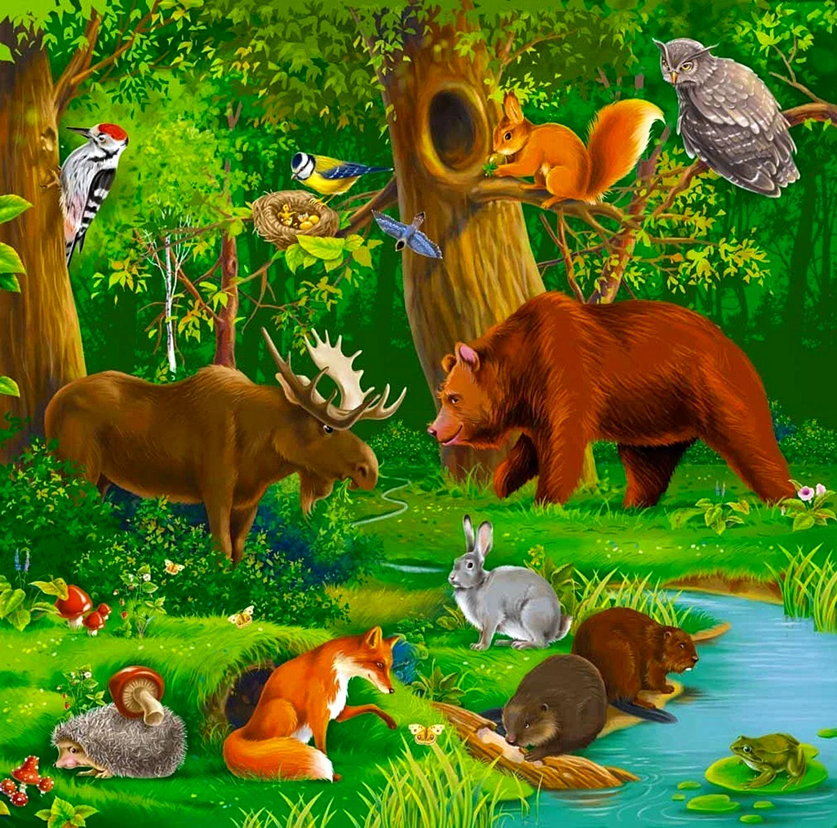 Животные леса