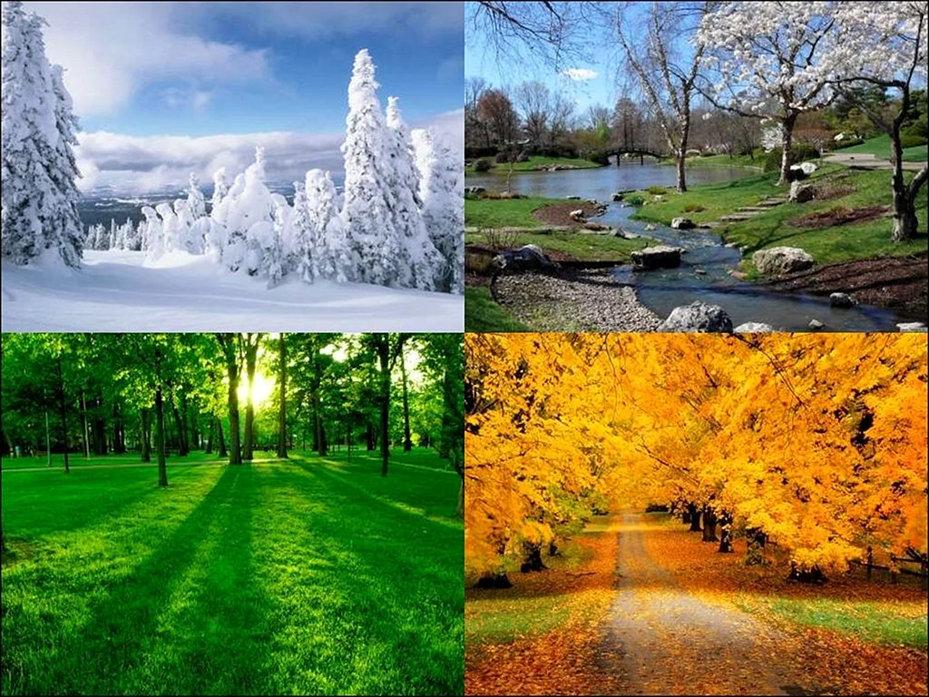 Зима,Весна,лето,осень