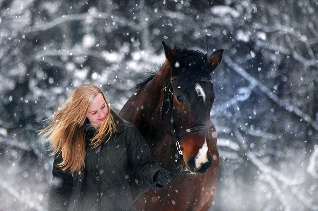 Зимняя фотосессия с лошадью