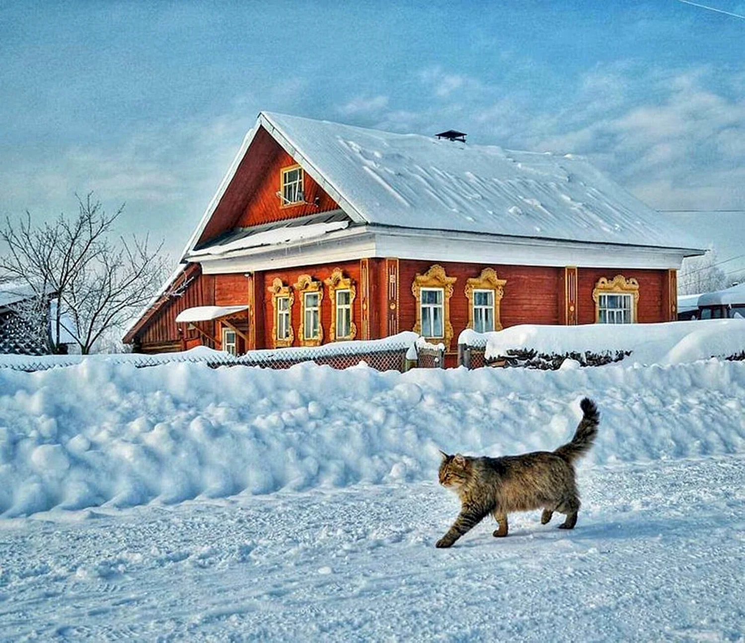 Зимний сельский русская деревня