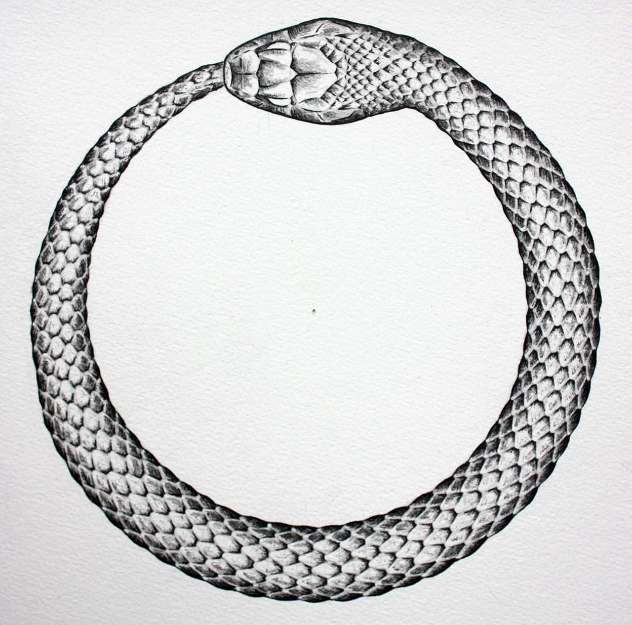 Змей Уроборос Скандинавия