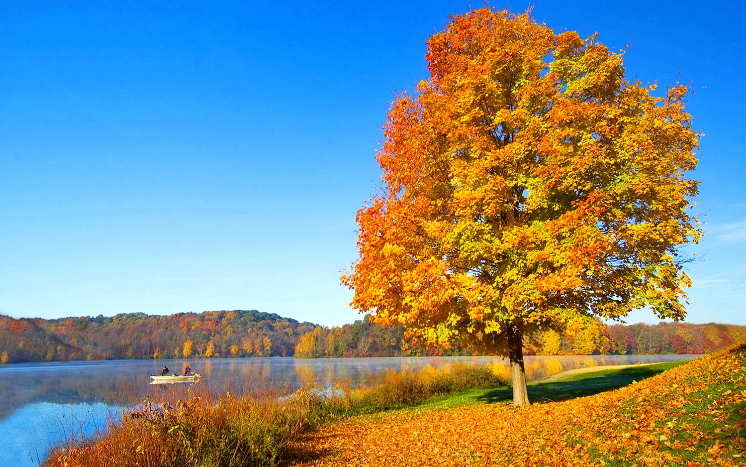 Золотая осень клен лес озеро