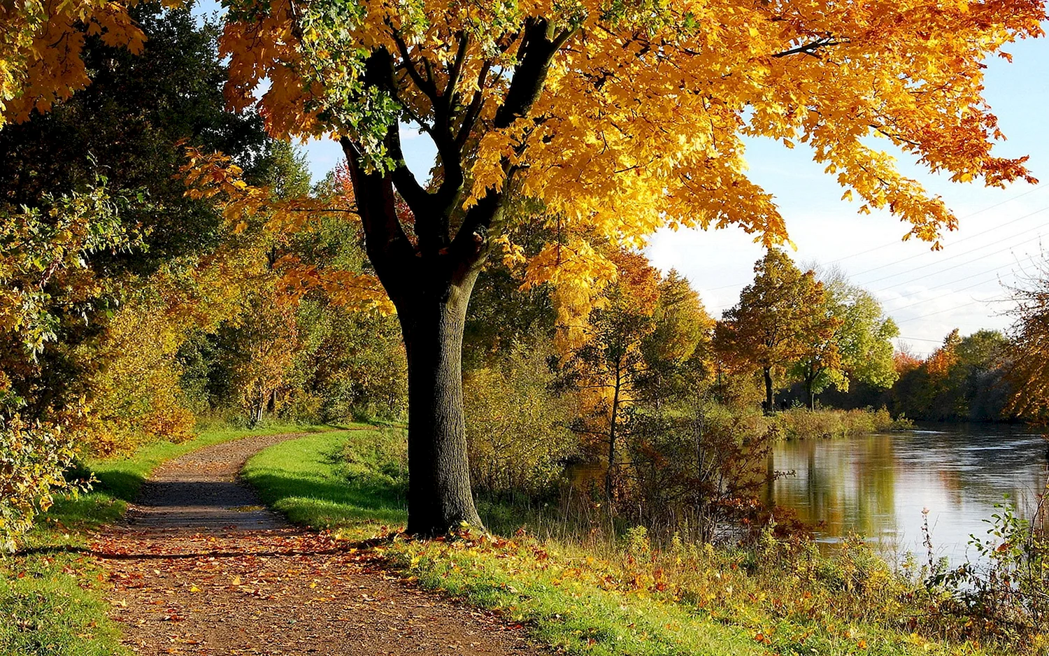 Золотая осень парк речка