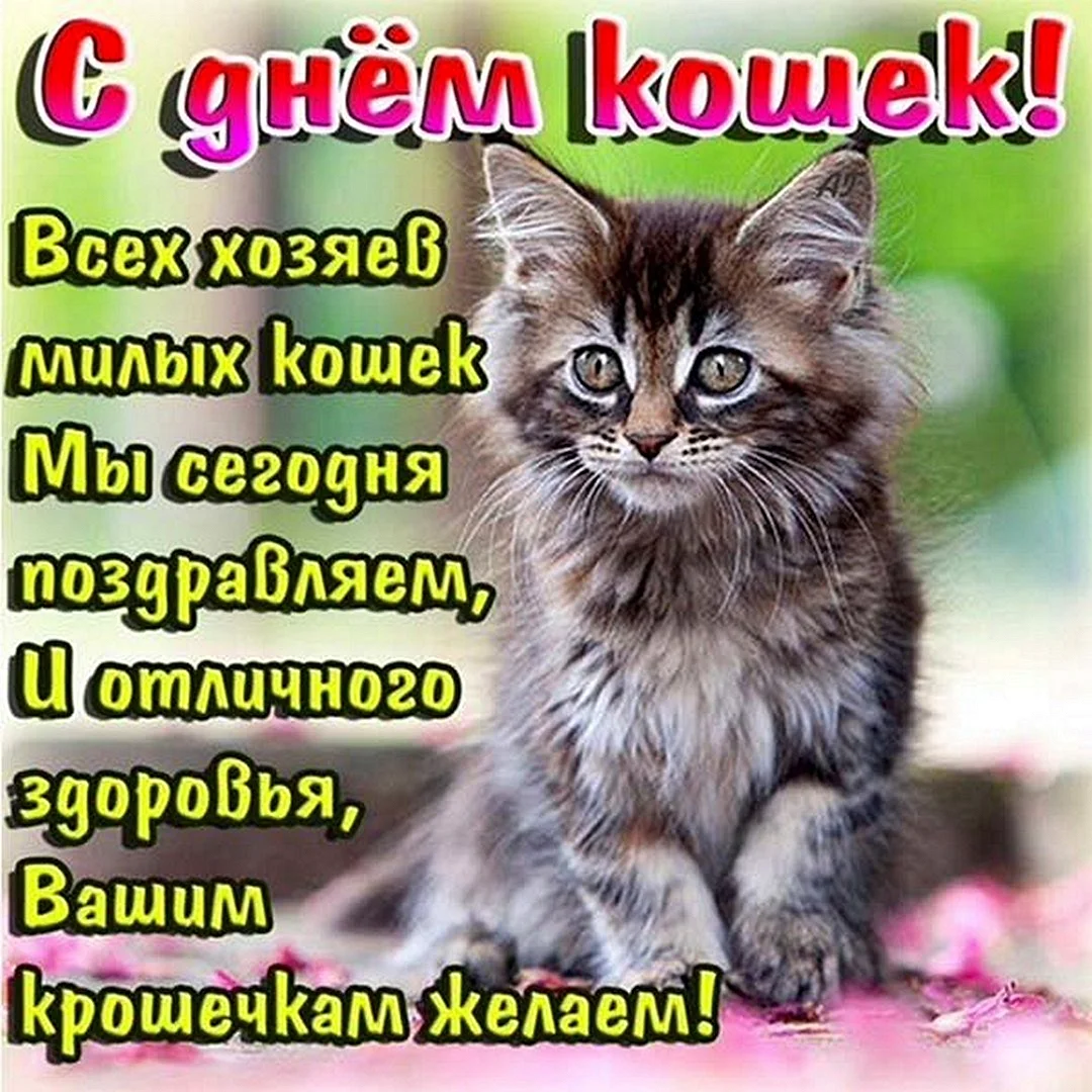 1 Марта день кошек в России