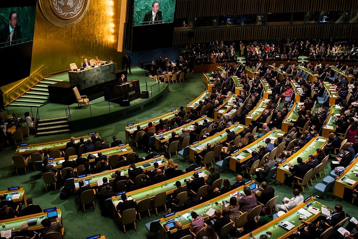 79 Генеральная Ассамблея ООН