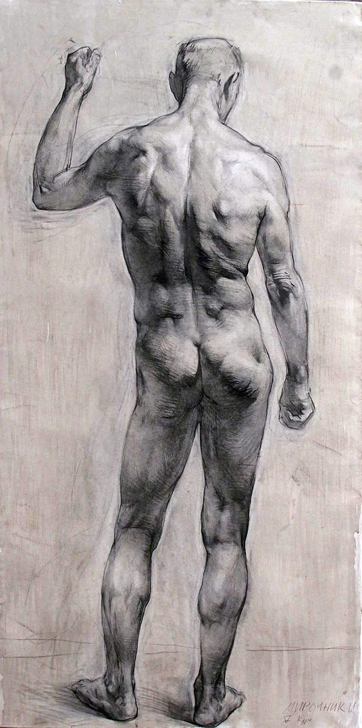 Академический рисунок фигуры человека обнаженка