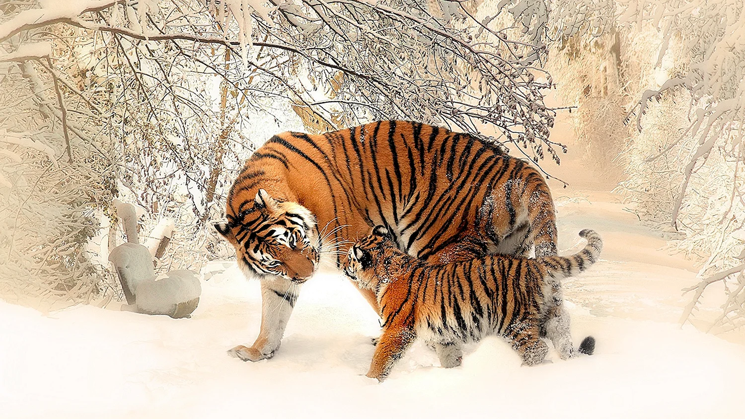 Амурский тигр и Лев