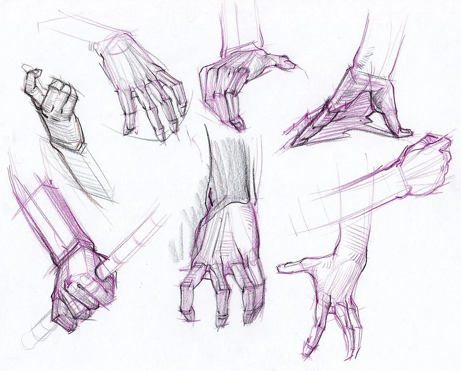 Анатомия рук кисти рук референс