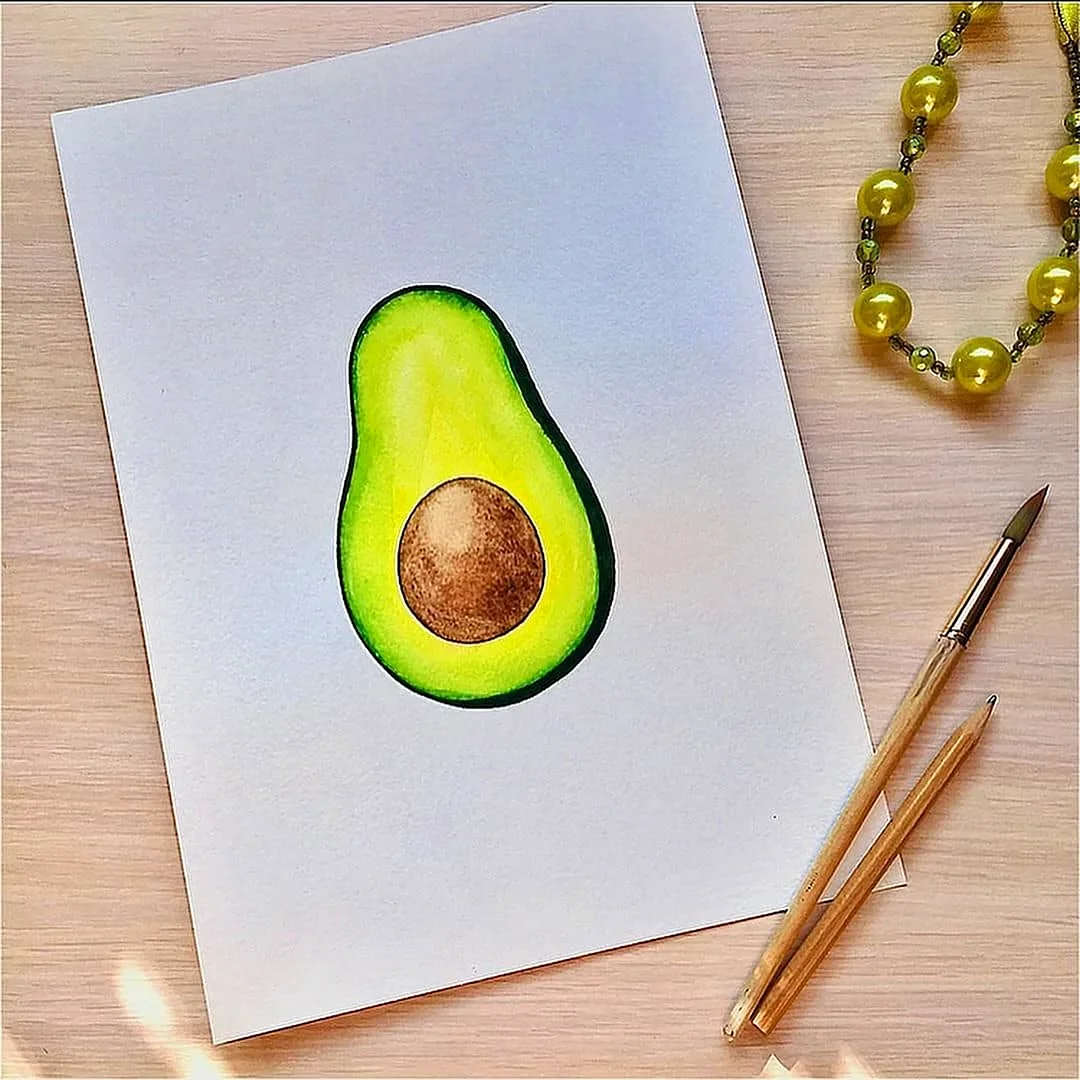 Авокадо рисунок для срисовки