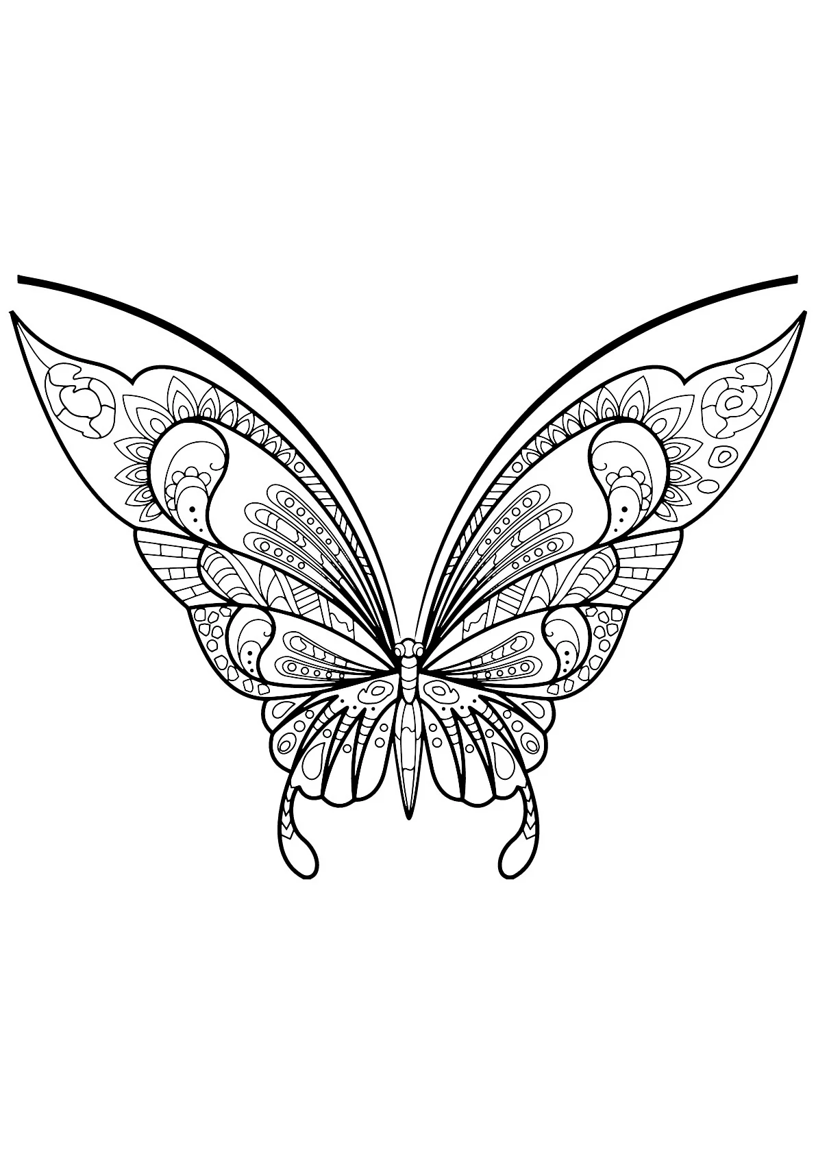 Бабочка для срисовывания