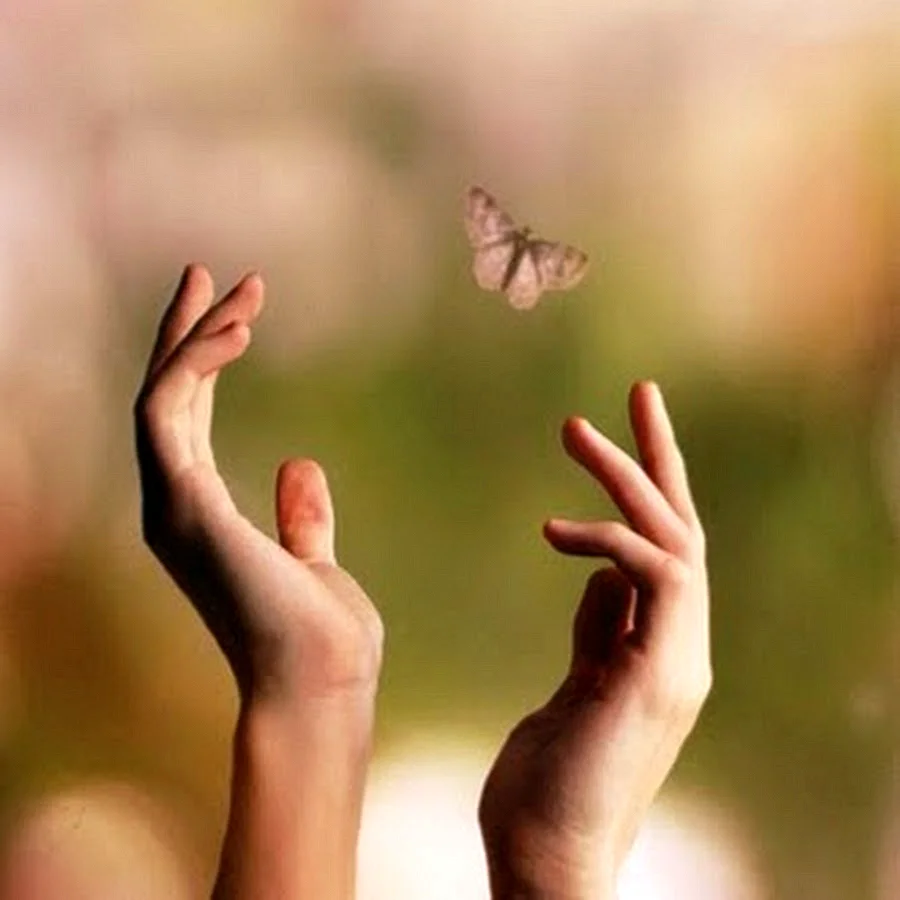 Бабочка улетает с руки