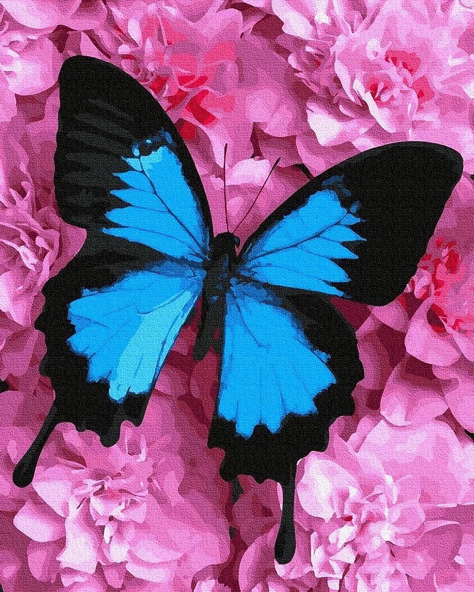 Розово голубая бабочка. Красивые бабочки. Яркие бабочки. Розовые бабочки. Бабочки в цветах.