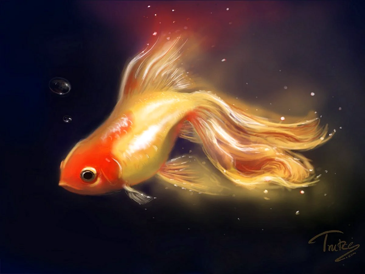 Бальмонт Золотая рыбка