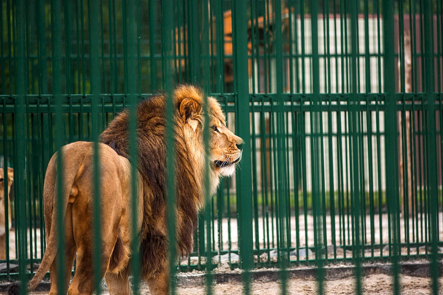 Белгородский зоопарк